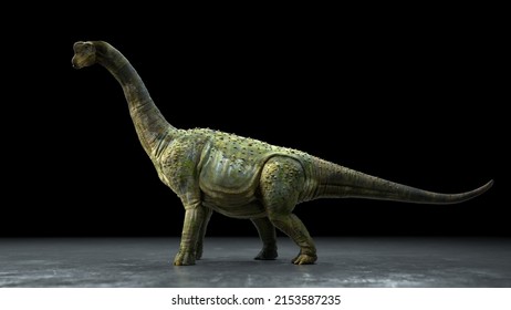 Brachiosaurus Altithorax From The Late Jurassic, 3D Illustration