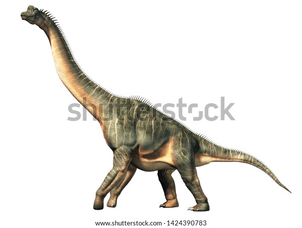 Brachiosaurus Sauropod Dinosaur One Largest Most Stock Illustration ...