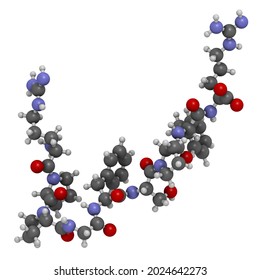 Bradykinin Peptide Molecule  3D Rendering  Atoms Are Represented As Spheres With Conventional Color Coding 