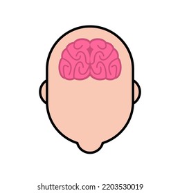 Braiin In Head Human Anatomy. Internal Organs. 