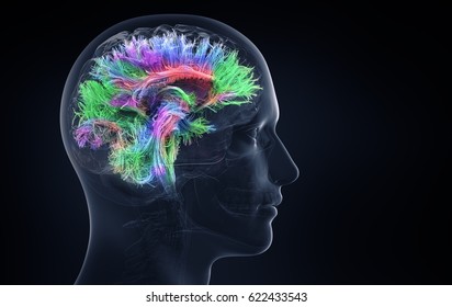 brain activity; 3d illustration