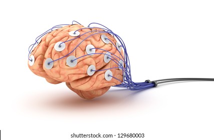 Brain Analysis. Polygraph Test.