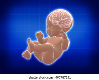 Cerebro Bebe Images Stock Photos Vectors Shutterstock Cerebro Bebe Images Stock Photos Vectors Shutterstock
