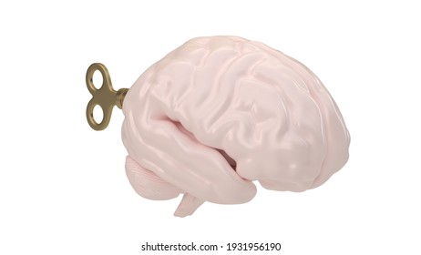 Brain With Clockwork Key Isolated On White Background, 3D Rendering. 3D Illustration.