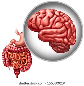 Brain Digestive Function And Gut Connection Or Enteric Nervous System Mind Digestion Link As A Psychobiotic Intestinal Distress Medical Concept As A Mental Health Icon With 3D Illustration Elements.