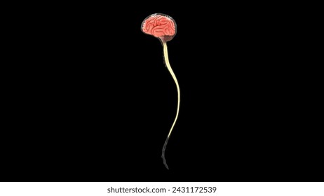 Brain with durometer isolated in black background 3d illustrator
