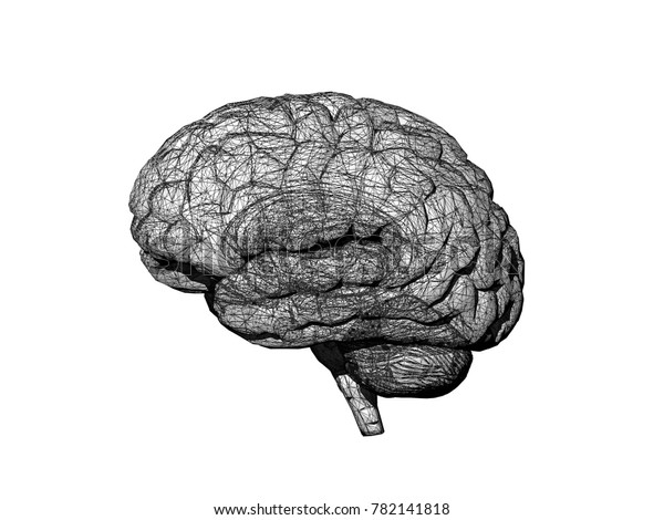 Brain Grey Matter 3d Rendering Stock Illustration 782141818