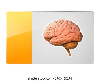 brain icon, button, Creativity, Novel Idea, Science and Technology concept. Neural network. IQ testing, artificial intelligence . Brainstorm think idea,3d and 2d graphic