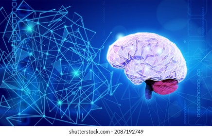 Brain Illustration Showing Connections Using Lines Stock Illustration ...