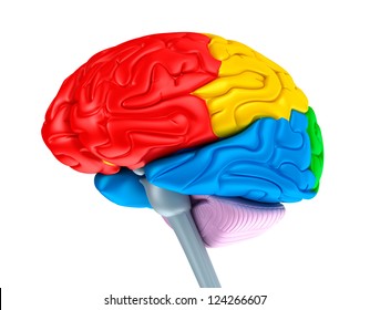 17,140 Color brain 3d Images, Stock Photos & Vectors | Shutterstock