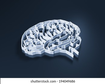 Brain Maze