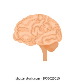 Brain or mind side view line art color  icon for medical apps and websites.