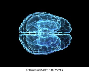 Brain Model Xray Blue Look Isolated On Black Background - Top View