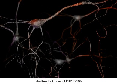 Brain Neuron Research Concept Synapse And Neuron Cells Sending Electrical Chemical Signals, Brain Plasticity, Synapse Between Two Neurons Neural Synapse Receptors Neuron Link Neural Network 3D Render