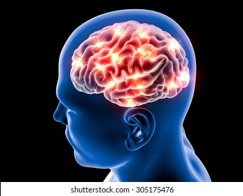 Brain Neurons Synapse, Anatomy Body, Head Profile, Disease