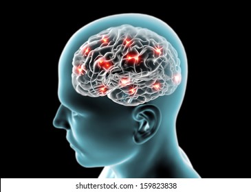 Brain neurons, synapses, reasoning