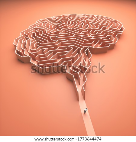 Brain shaped maze. Conceptual image of science and medicine. 3D illustration.
