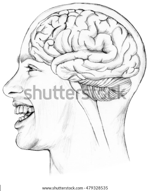 Brain Situ Smiling Man Young Man Stock Illustration 479328535