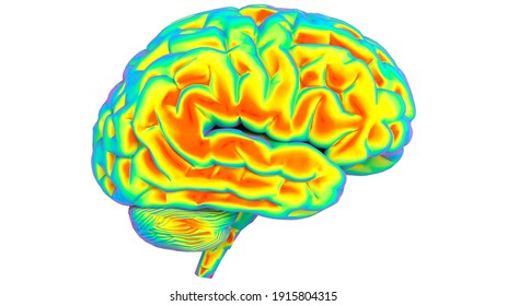 Brain Thermal Imager 3d Illustration