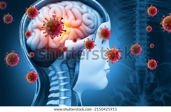 Brain viral infection, Viral meningitis and\
encephalitis. 3d\
illustration