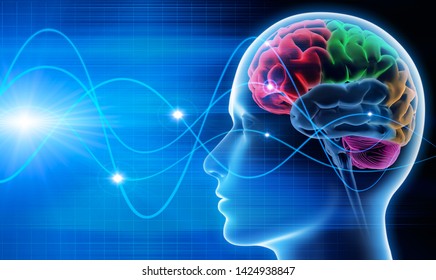 Brain Waves - EEG - Brain Activity