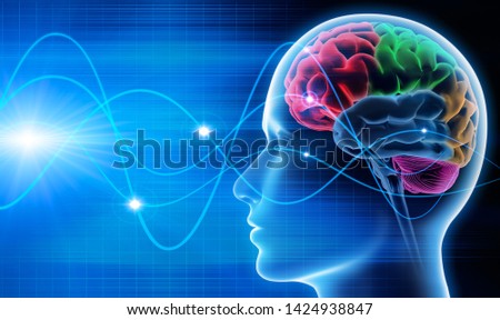 Brain waves - EEG - brain activity