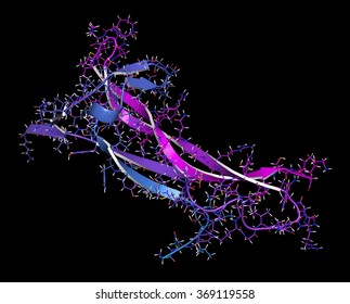 Brainderived Neurotrophic Factor Bdnf Protein Molecule 스톡 일러스트 ...