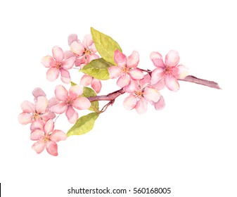 リンゴの花の枝 桜の花 桜 ビンテージ水彩植物イラスト のイラスト素材