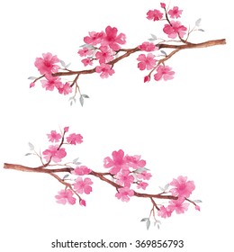 Branch Of Cherry Blossom , Watercolor Painting