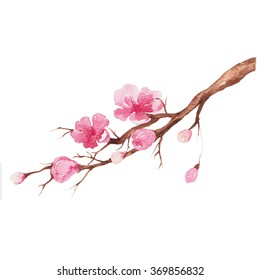 Branch Of Cherry Blossom , Watercolor Painting