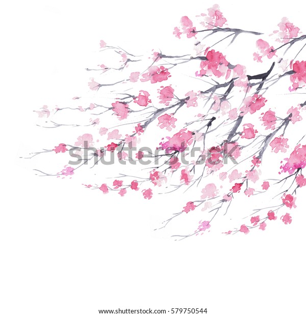 白い背景に桜の枝 水彩画 のイラスト素材