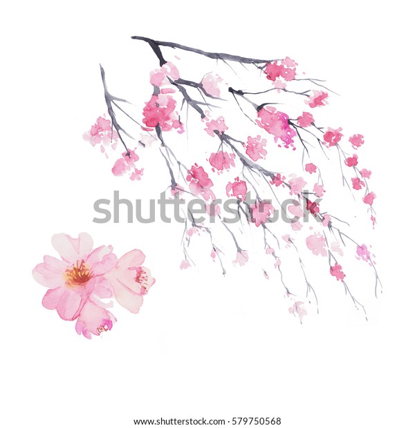 白い背景に桜の枝 水彩画 のイラスト素材