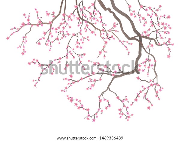 白い背景に桜の枝と薄いピンクの花 壁画 壁画 内装用壁画 のイラスト素材