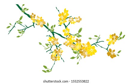 Branch Yellow Blossom Vietnam Lunnar New Stock Illustration 1552553822