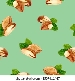 Brazil Nut Hand Drawn Watercolor Illustration. Seamless Pattern.