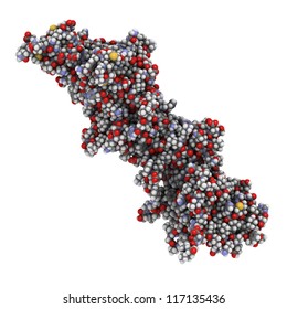 BRCA2 (breast Cancer Susceptibility Gene 2, Fragment) Tumor Suppressor Protein In Complex With DSS1.  BRCA2 Is A Tumor Suppressor Gene.