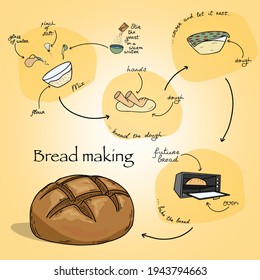 A bread making scheme step by step.