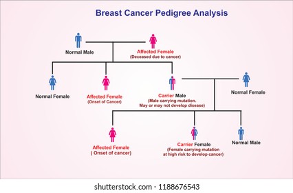 Breast Cancer Pedigree Analysis Chart