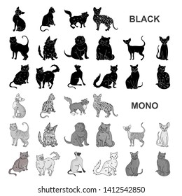 Breeds Of Cats Black Icons In Set Collection For Design. Pet Cat Bitmap Symbol Stock Web Illustration.