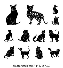 Breeds Of Cats Black Icons In Set Collection For Design. Pet Cat Bitmap Symbol Stock Web Illustration.