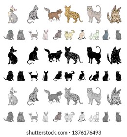 Breeds Of Cats Cartoon Icons In Set Collection For Design. Pet Cat Bitmap Symbol Stock Web Illustration.