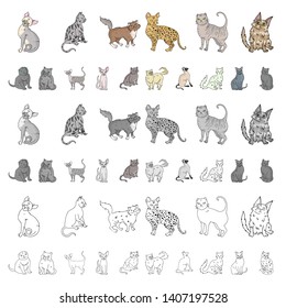 Breeds Of Cats Cartoon Icons In Set Collection For Design. Pet Cat Bitmap Symbol Stock Web Illustration.