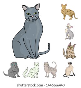 Breeds Of Cats Cartoon Icons In Set Collection For Design. Pet Cat Bitmap Symbol Stock Web Illustration.