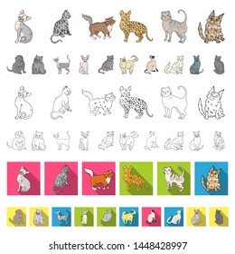 Breeds Of Cats Cartoon Icons In Set Collection For Design. Pet Cat Bitmap Symbol Stock Web Illustration.