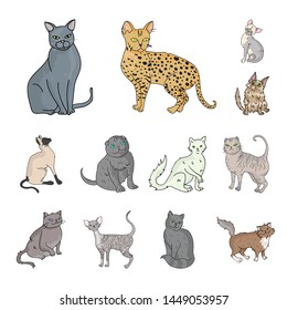 Breeds Of Cats Cartoon Icons In Set Collection For Design. Pet Cat Bitmap Symbol Stock Web Illustration.