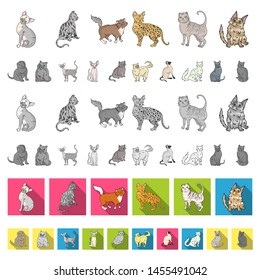 Breeds Of Cats Cartoon Icons In Set Collection For Design. Pet Cat Bitmap Symbol Stock Web Illustration.