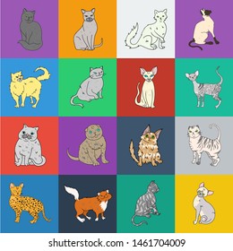 Breeds Of Cats Cartoon Icons In Set Collection For Design. Pet Cat Bitmap Symbol Stock Web Illustration.