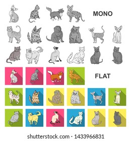 Breeds Of Cats Flat Icons In Set Collection For Design. Pet Cat Bitmap Symbol Stock Web Illustration.