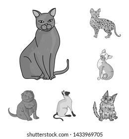 Breeds Of Cats Monochrome Icons In Set Collection For Design. Pet Cat Bitmap Symbol Stock Web Illustration.