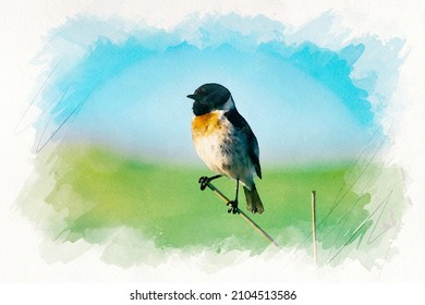 Brid Watercolor Painting Sketch Photo Effect